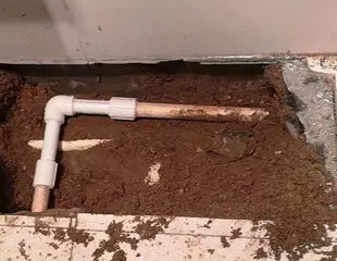 芦溪测漏水哪家好