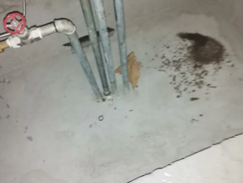 芦溪卫生间测漏水价格明细