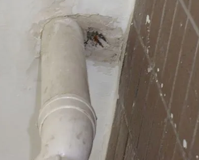 芦溪漏水检测哪家好